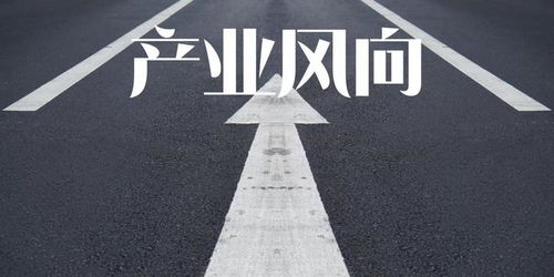 國家能源集團成立西部能源投資公司,注冊資本100億元